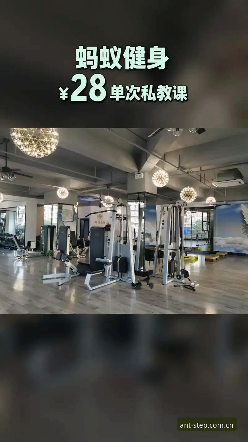 技术评测员实测：蚂蚁体育直播平台对比手机版使用心得与赛事数据替代工具分析